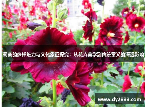 蜀葵的多样魅力与文化象征探究：从花卉美学到传统意义的深远影响